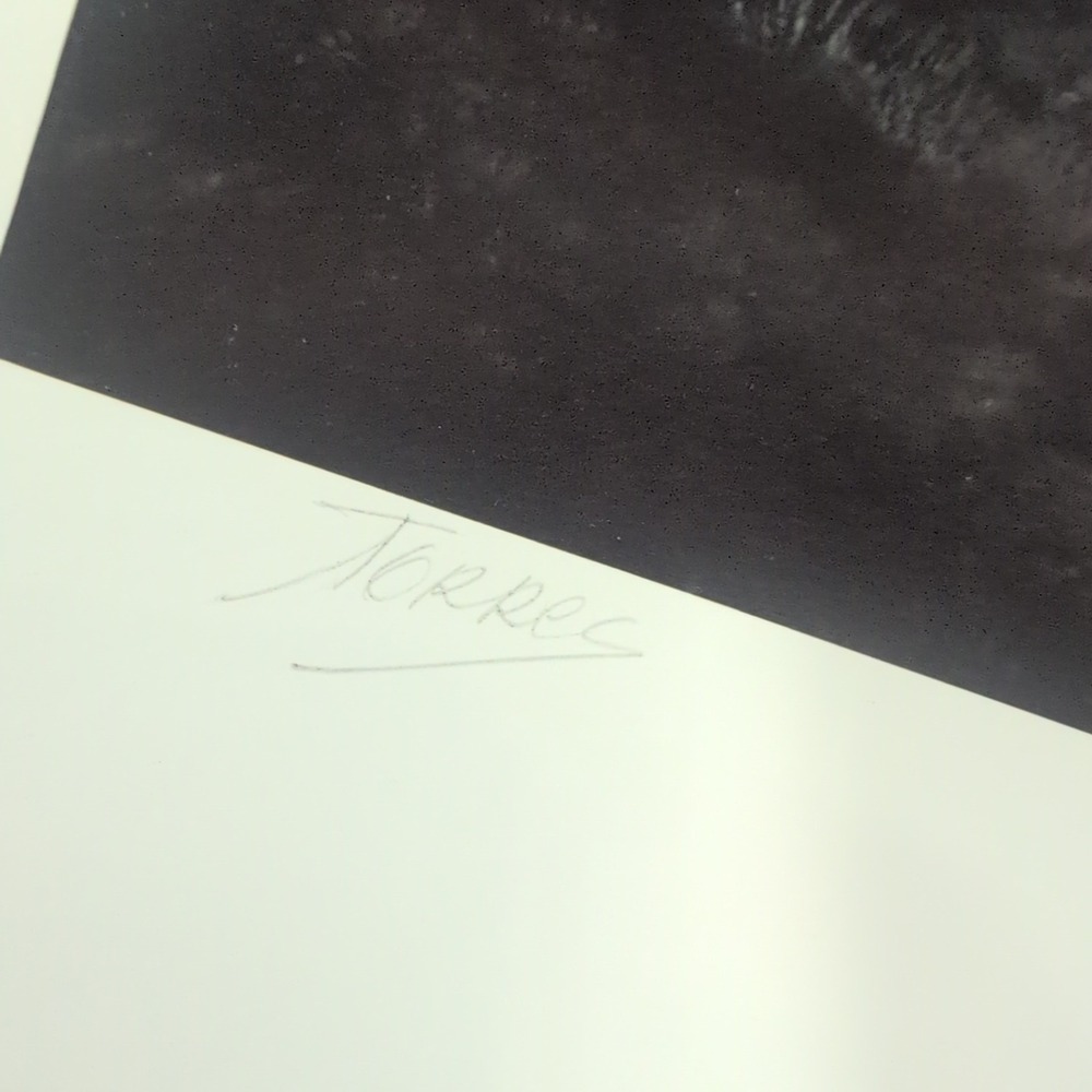 Sonia Torres Limited Edition,‎ Numbered, Signed White Tiger Artist's Print - Picture 7 of 8
